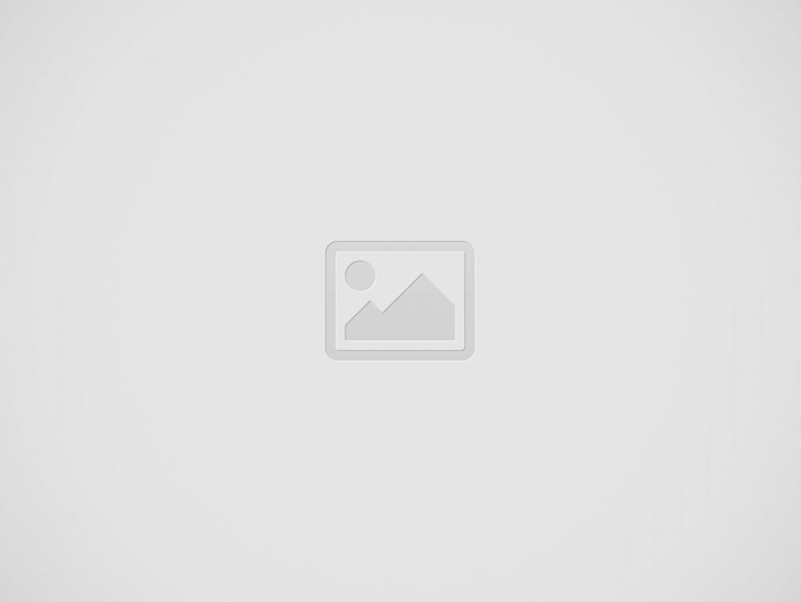 【ガチプレイ】ビッグファームをやってみたレポート＆攻略法